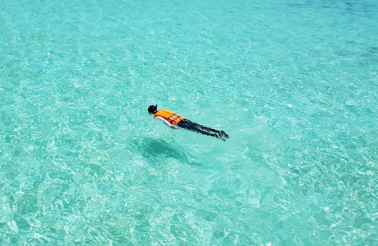 maldive islands, snorkeling, swimming-1445675.jpg