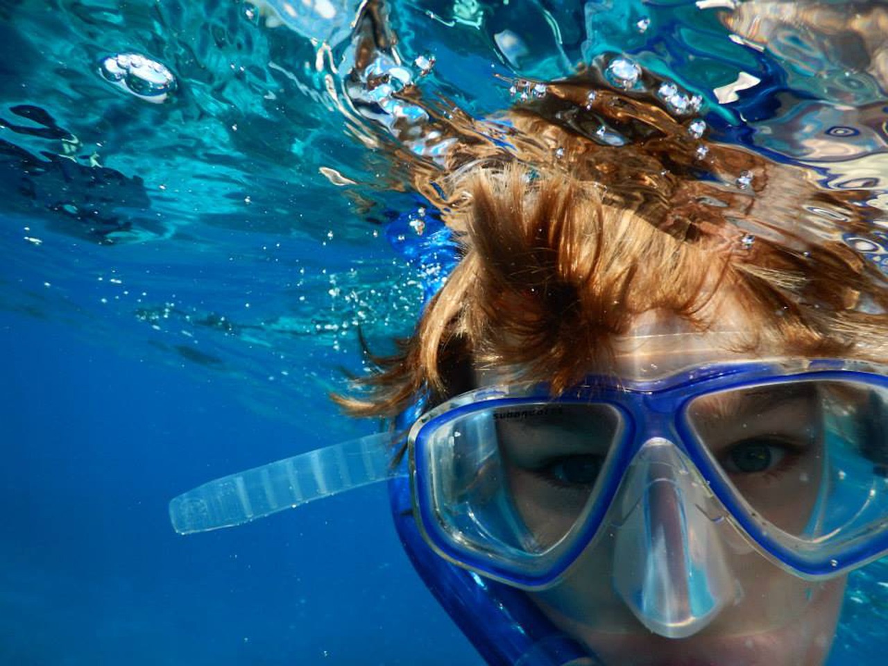 swimming, snorkeling, ocean-713534.jpg